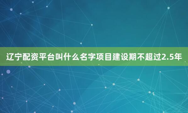 辽宁配资平台叫什么名字项目建设期不超过2.5年